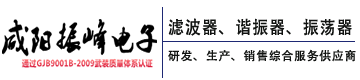 咸阳振峰电子科技有限公司